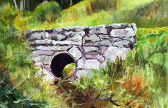 Trossachs Drain 1 image