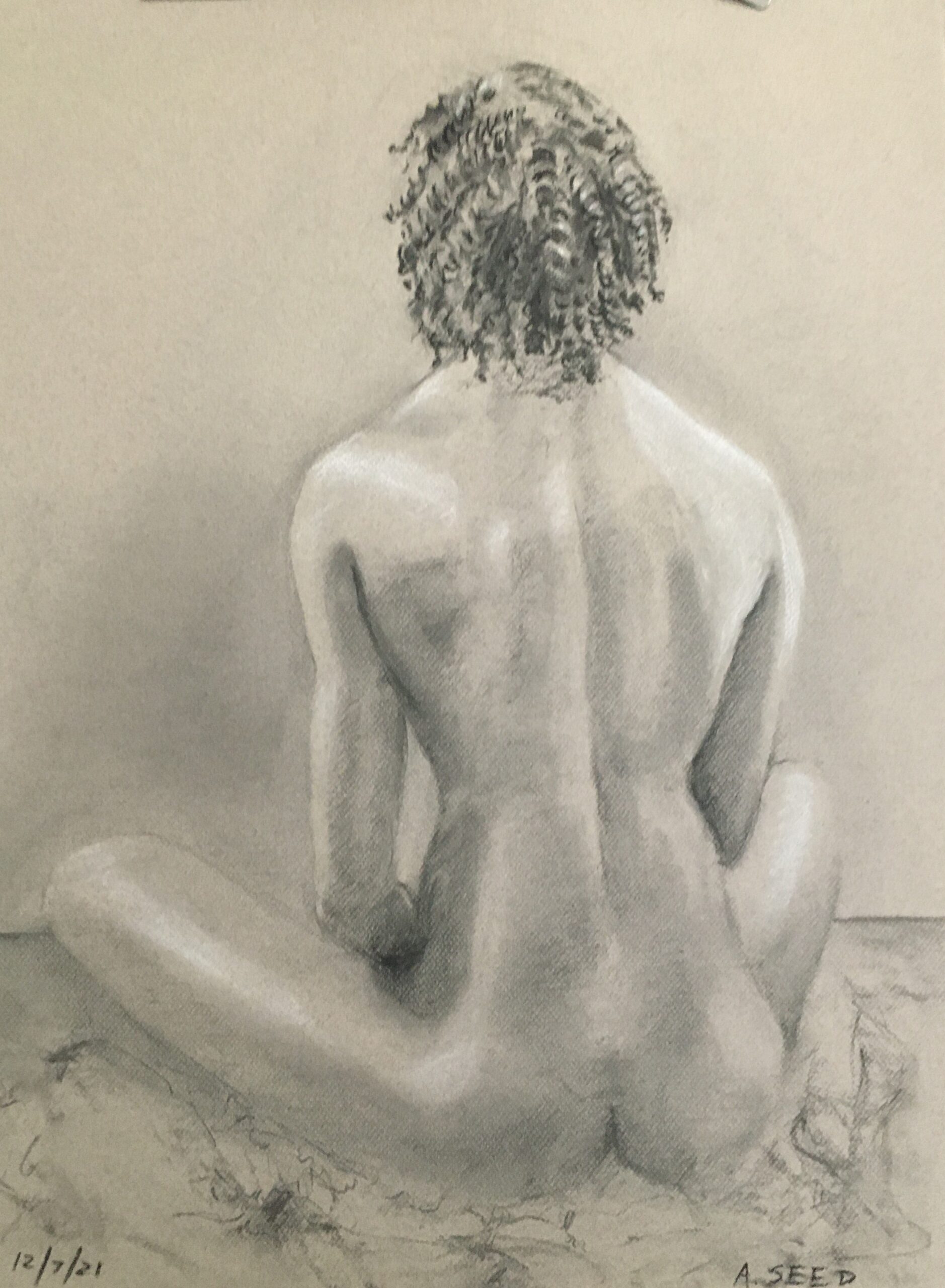 Gazelle Back Drawing by Arleen Seed