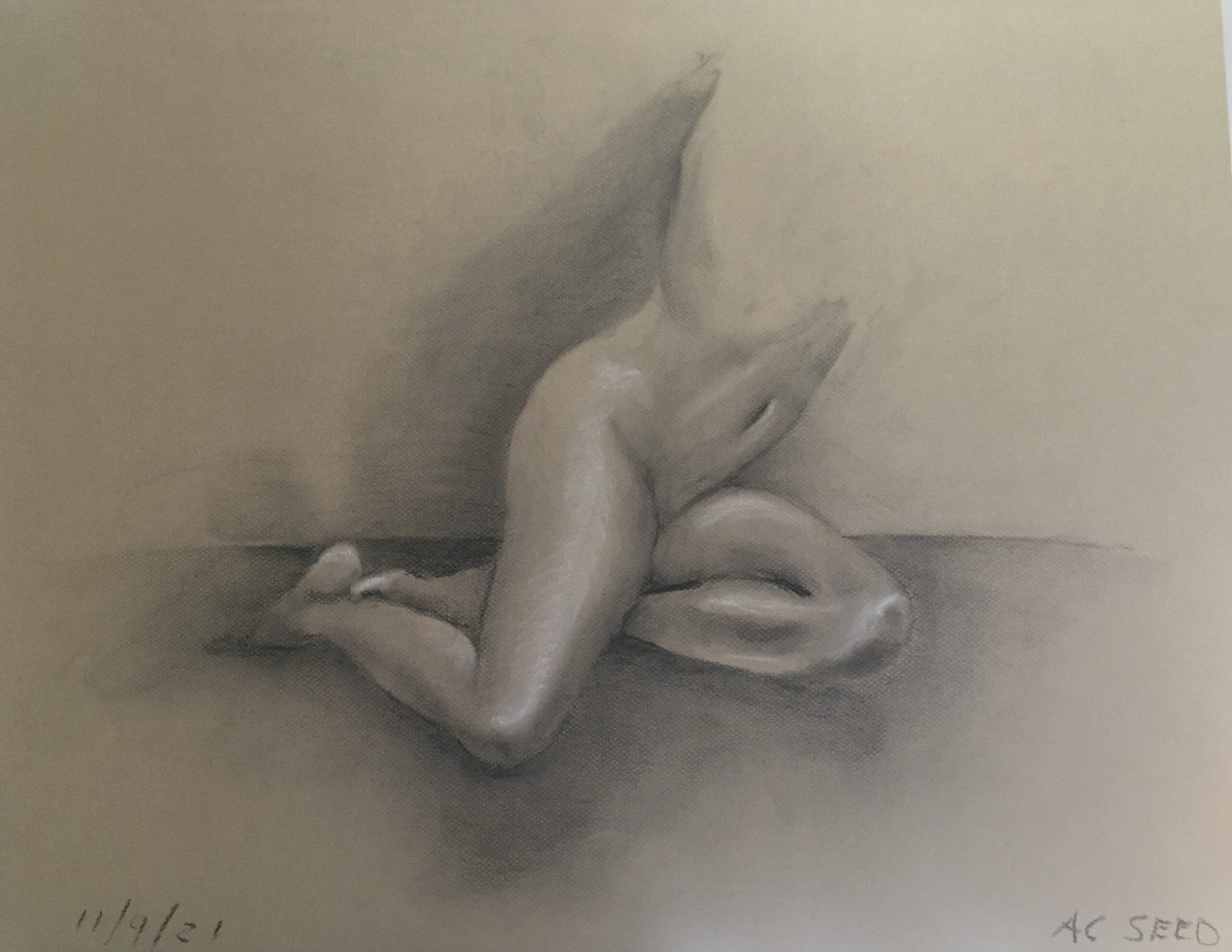 Legs Drawing by Arleen Seed