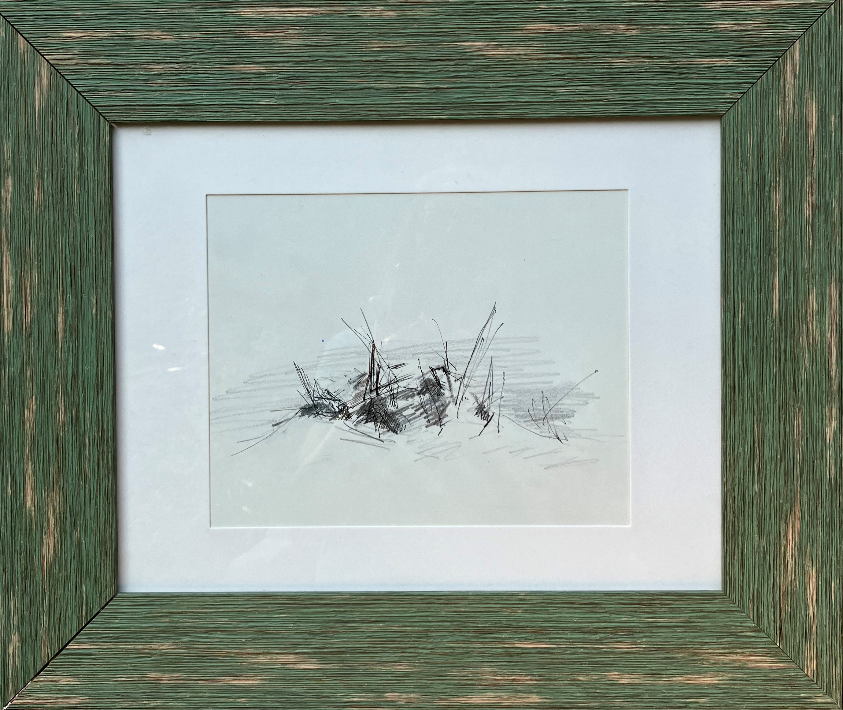 Grasses at Assateague by Arleen Seed