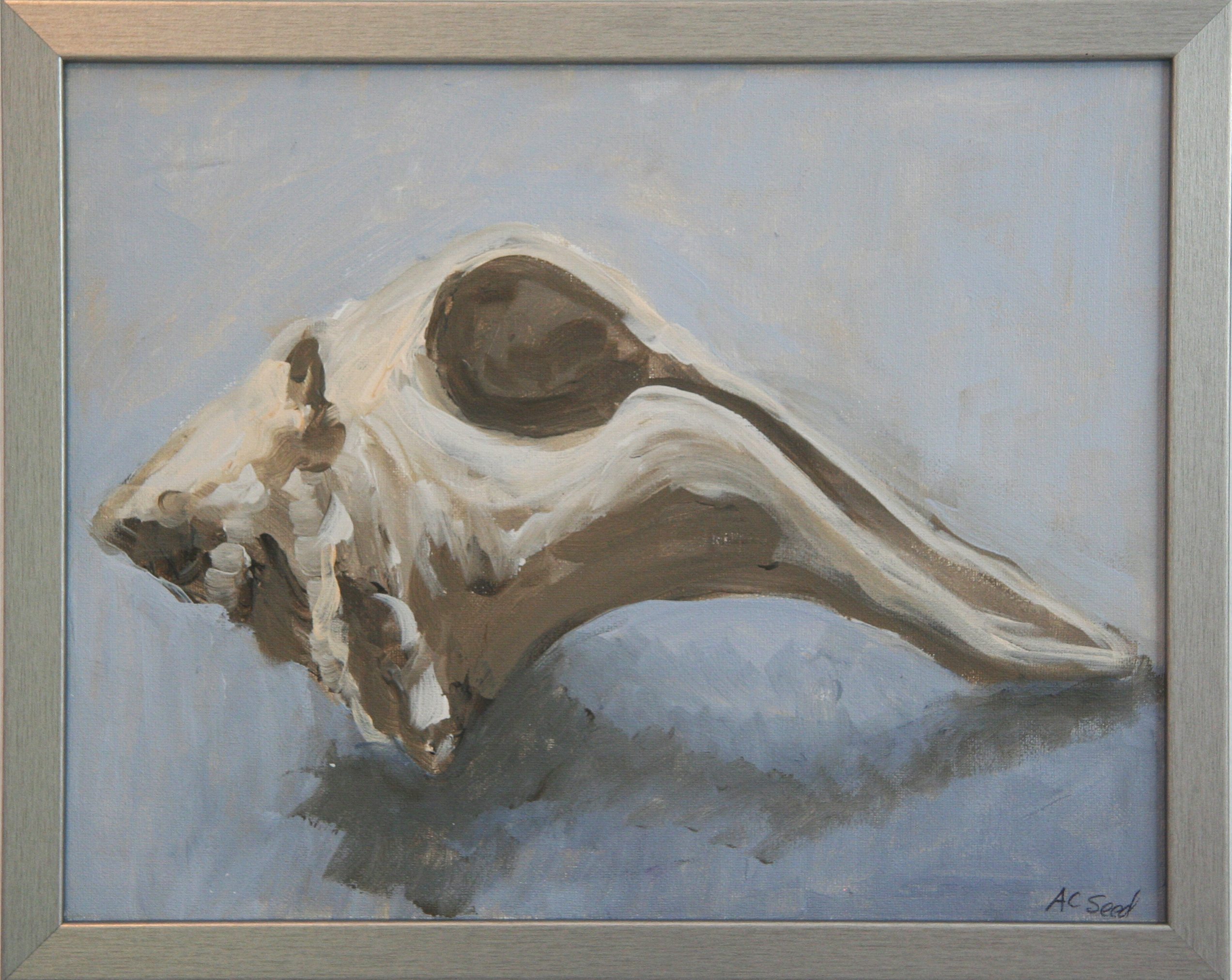 Shell I by Arleen Seed