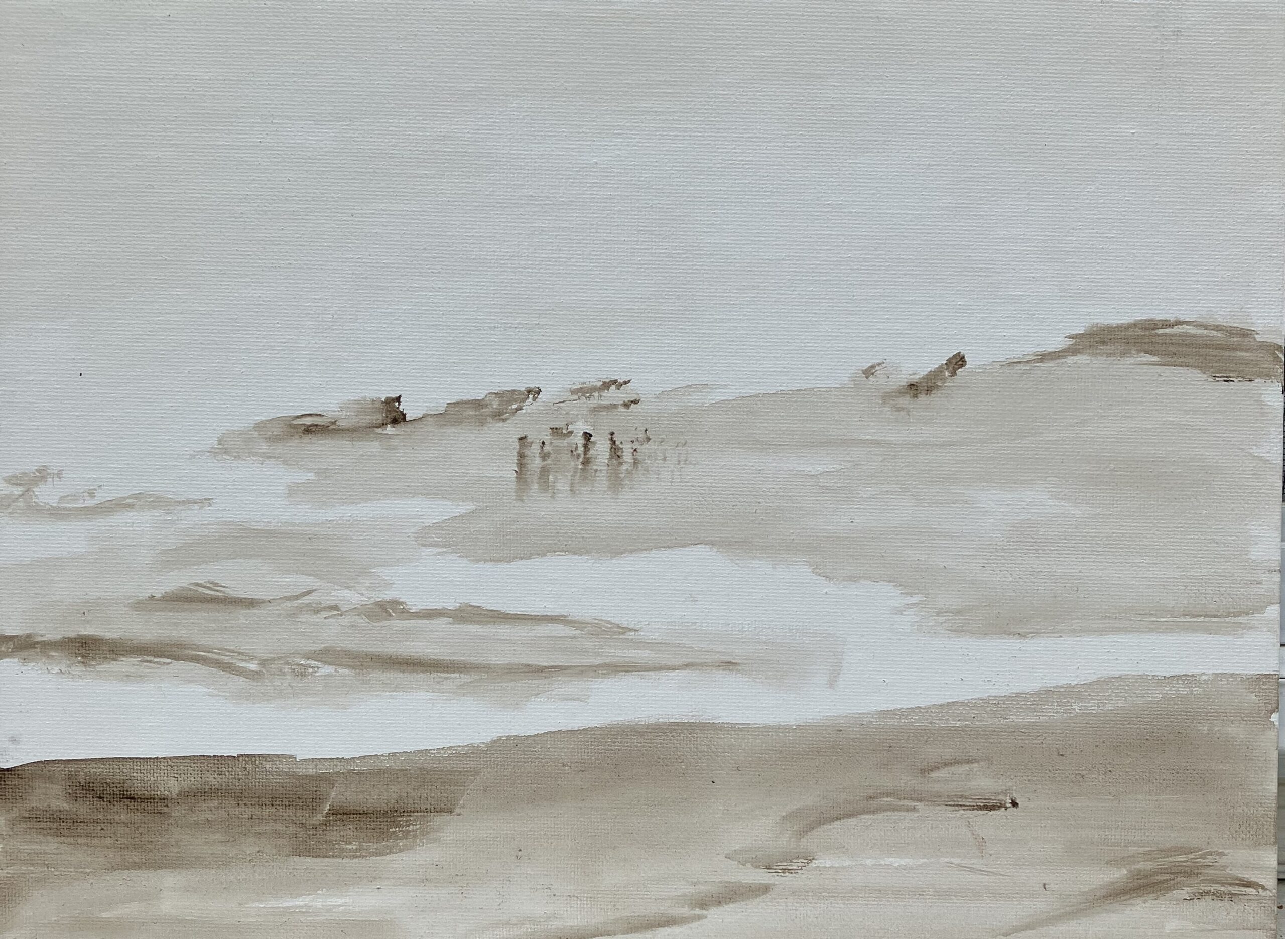 Assateague Beach by Arleen Seed