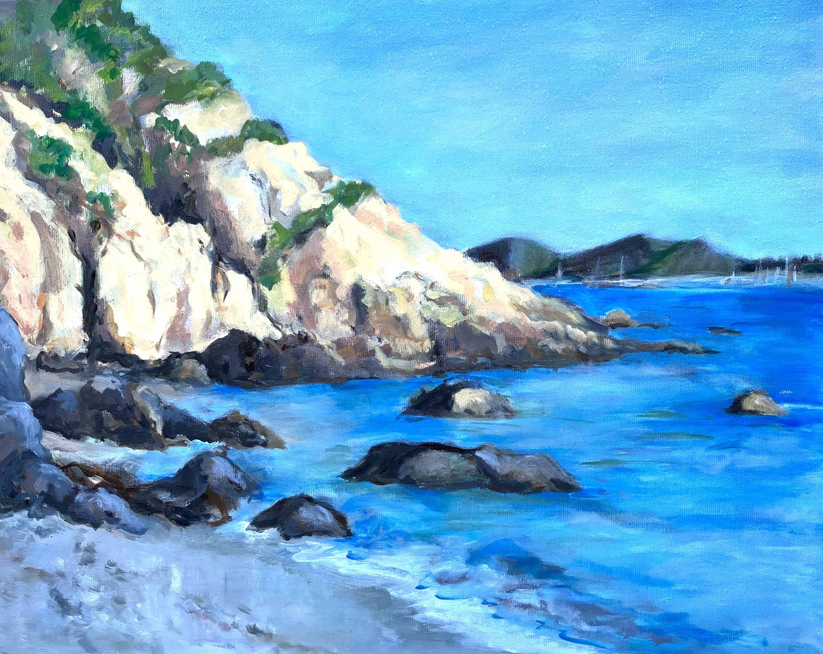 Sardinian Beach by Arleen Seed